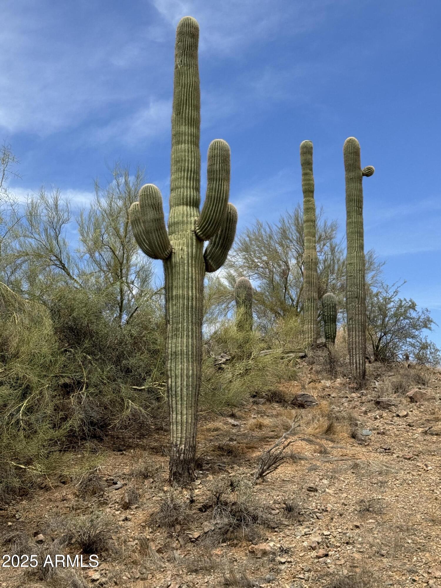 42213 North 3rd Street Phoenix, AZ 85086 - Photo 5 of 69 IMG_6560