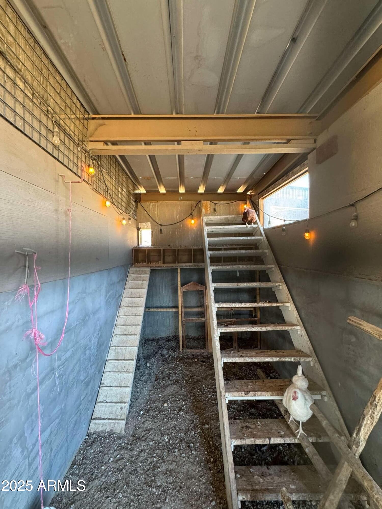 42213 North 3rd Street Phoenix, AZ 85086 - Photo 10 of 69 Chicken Coupe