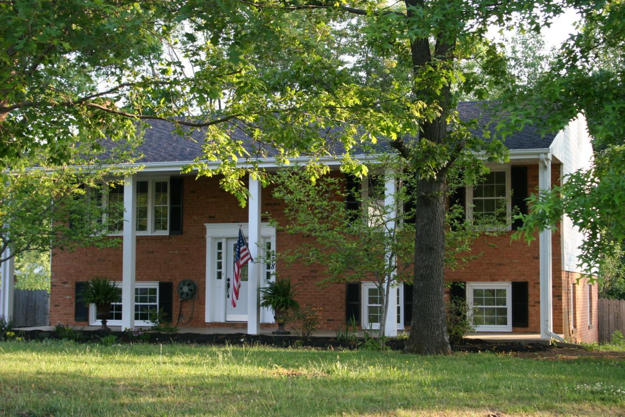 278 Mountain Pass Road Blue Ridge, VA 24064 - Photo 1 of 19 front view of house with a yard