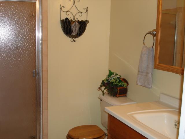 278 Mountain Pass Road Blue Ridge, VA 24064 - Photo 15 of 19 a bathroom with a sink and mirror