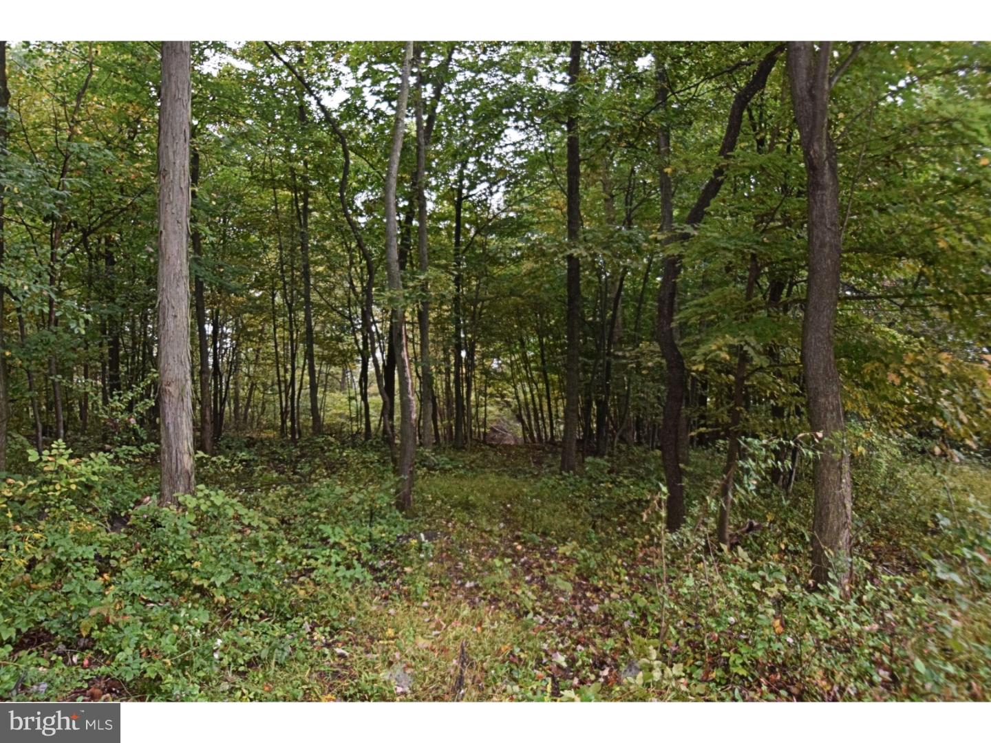 139 Rick Road Boyertown, PA 19512 - Photo 1 of 8 Gallery Image 1