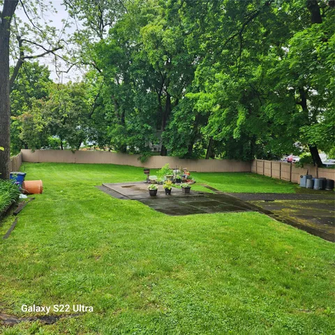a view of a park with large trees