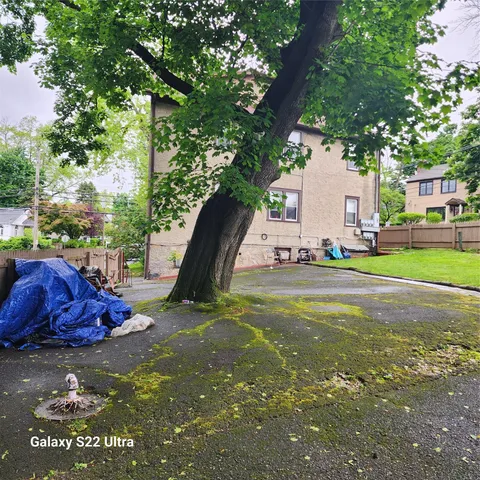 a view of backyard with table and chairs and potted plants