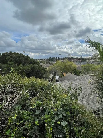 a view of a green field with lots of bushes
