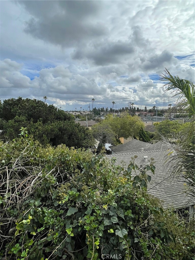 2004 Ripley Avenue Redondo Beach, CA 90278 - Photo 6 of 18 a view of a green field with lots of bushes