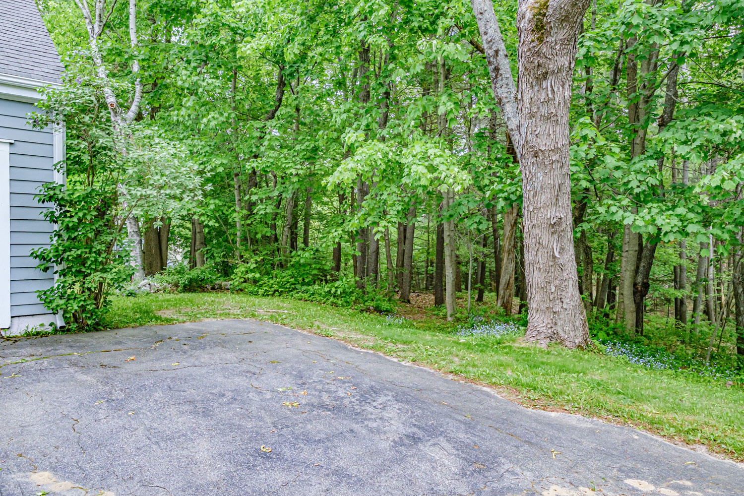 34 Rand Road Yarmouth, ME 04096 - Photo 44 of 54 20200601gp-64061