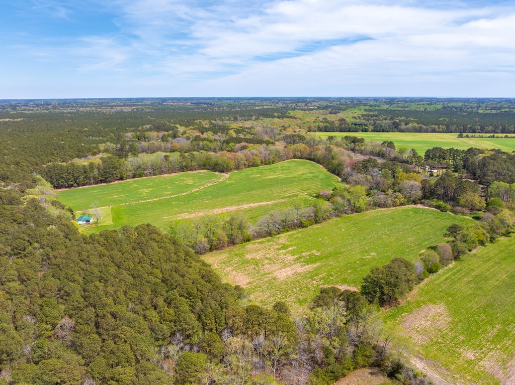 26355 Mt Nebo Road Onancock, VA 23417 - Photo 5 of 44