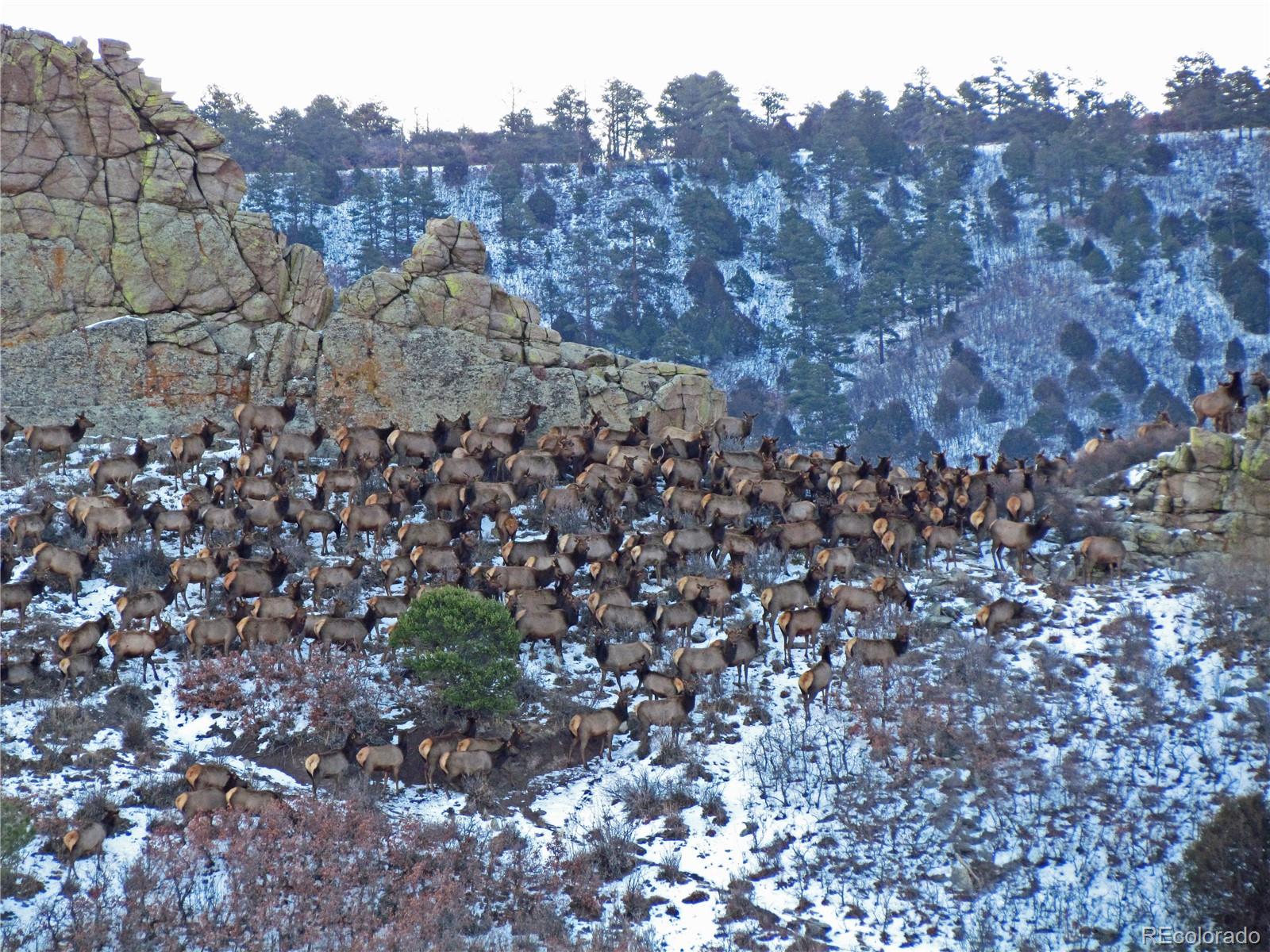 361 County Road La Veta, CO 81055 - Photo 4 of 7