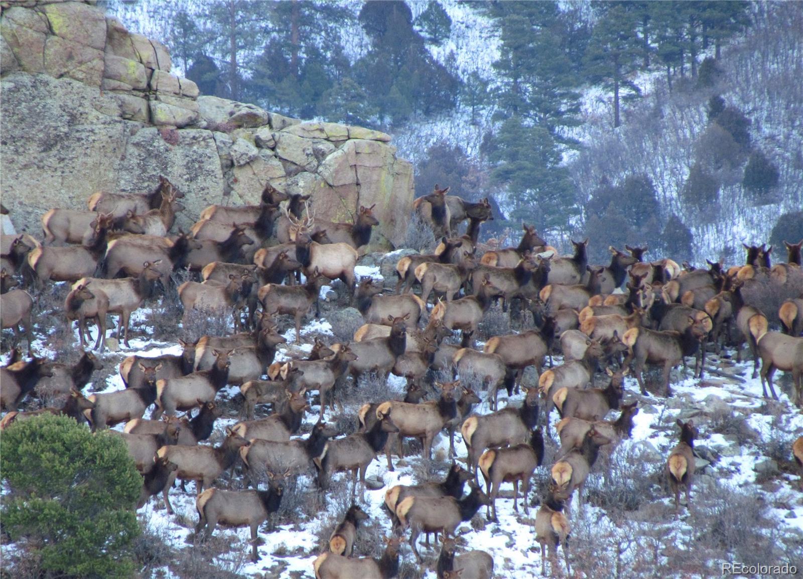 361 County Road La Veta, CO 81055 - Photo 5 of 7