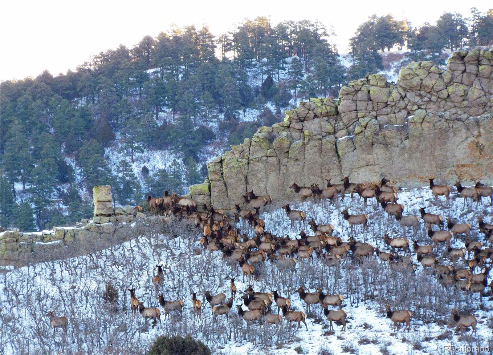 361 County Road La Veta, CO 81055 - Photo 6 of 7