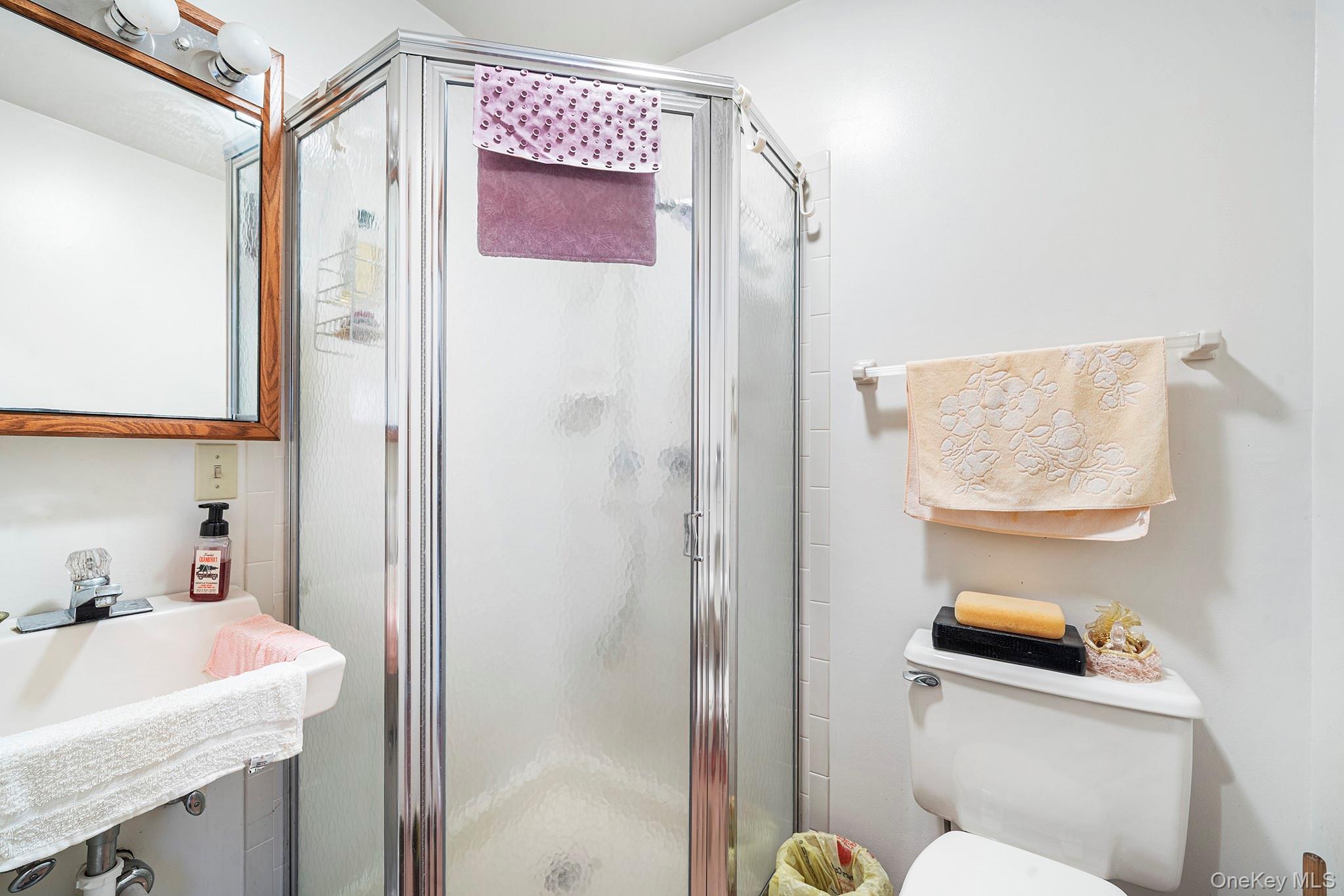 290 Ridge Road Campbell Hall, NY 10916 - Photo 10 of 26 a bathroom with a sink a toilet and shower curtain