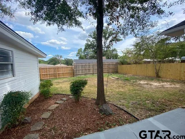 a view of a yard with a large tree