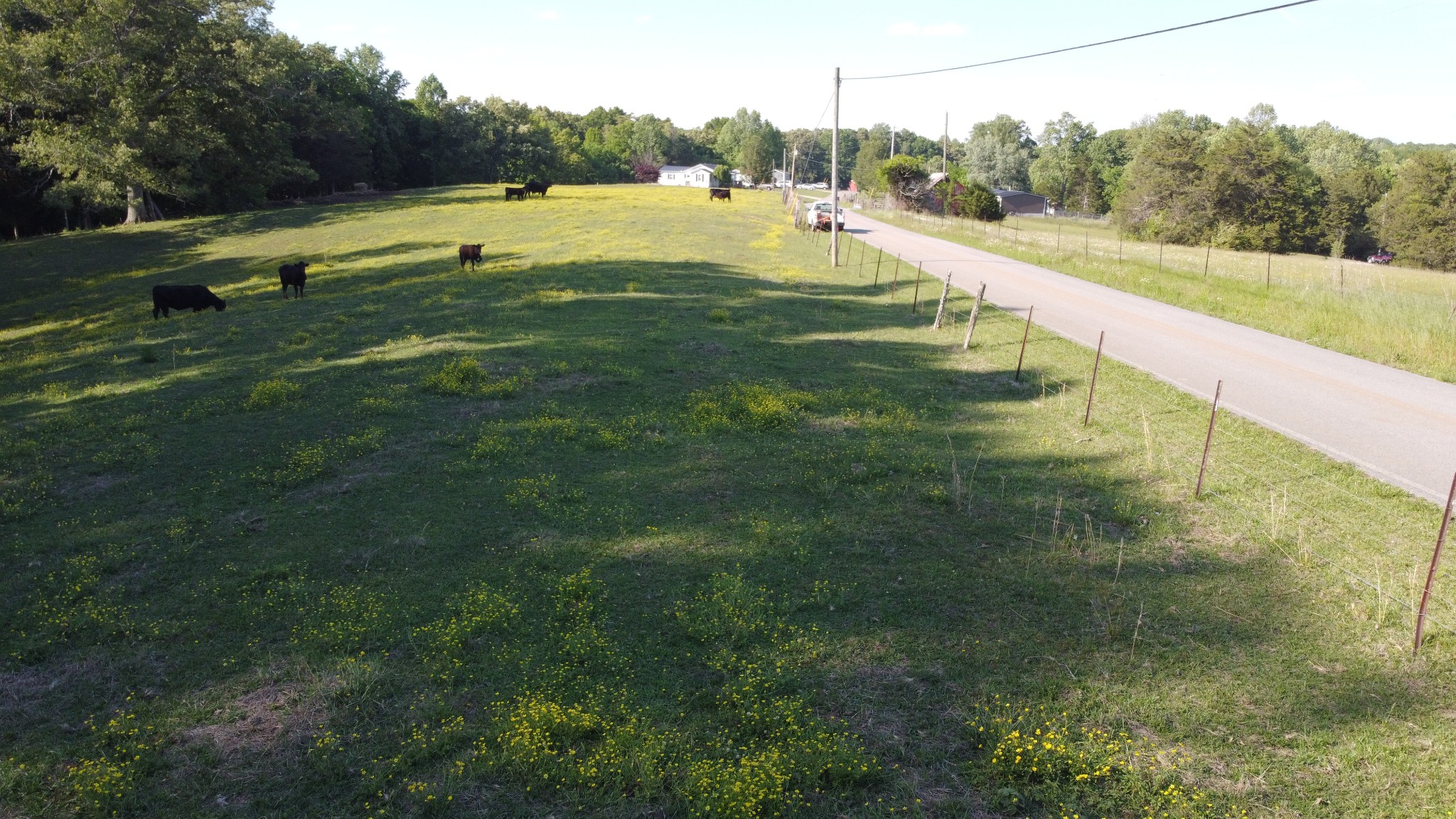 143 Griffintown Road Sparta, TN 38583 - Photo 32 of 35 a view of a park