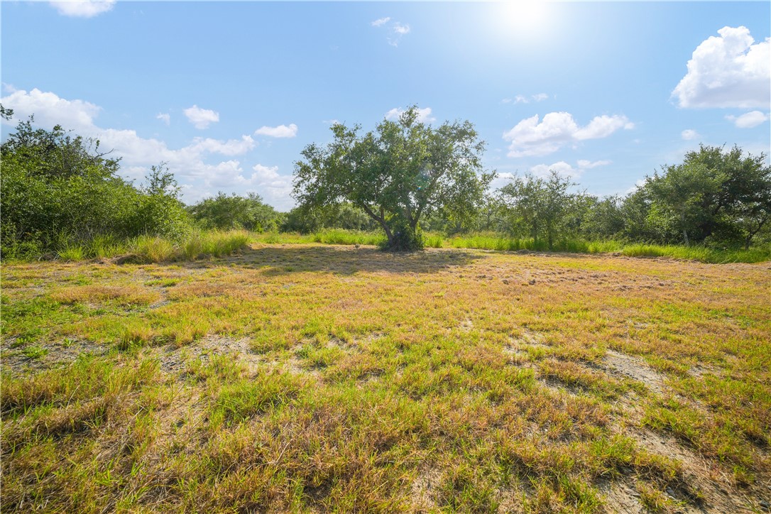 1508 Rhodes Avenue Aransas Pass, TX 78336 - Photo 24 of 30