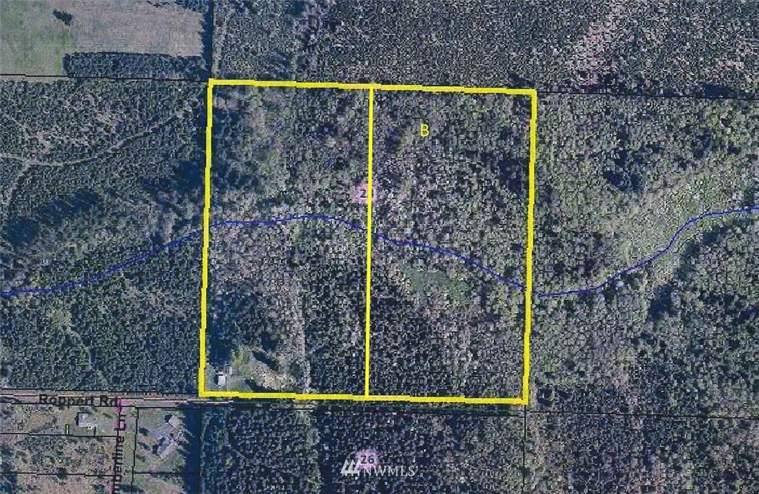 153 Roppert Road Winlock, WA 98596 - Photo 11 of 11 Gallery Image 11