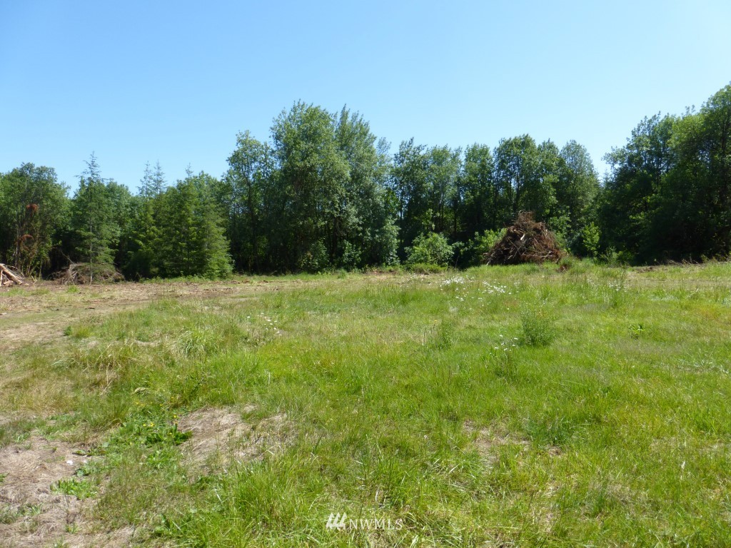 153 Roppert Road Winlock, WA 98596 - Photo 3 of 11 Gallery Image 3