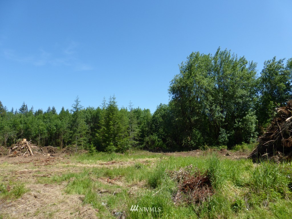 153 Roppert Road Winlock, WA 98596 - Photo 6 of 11 Gallery Image 6