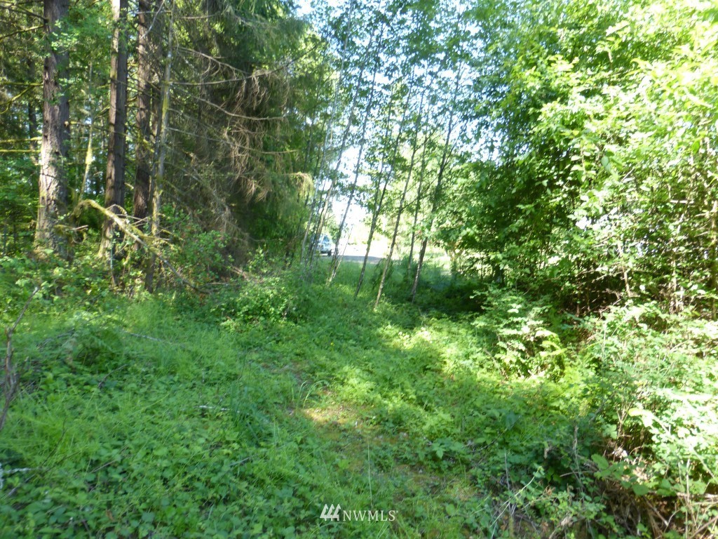 153 Roppert Road Winlock, WA 98596 - Photo 8 of 11 Gallery Image 8