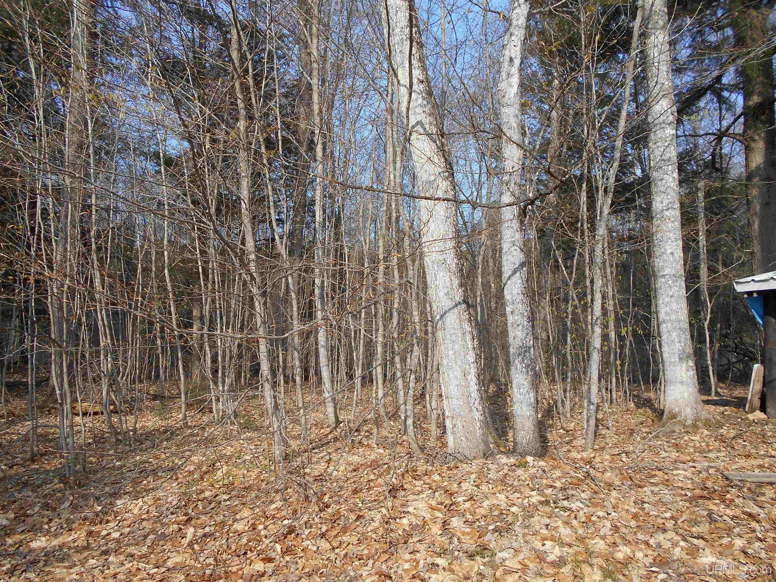 6345 South Northrough Road Wetmore, MI 49895 - Photo 44 of 67