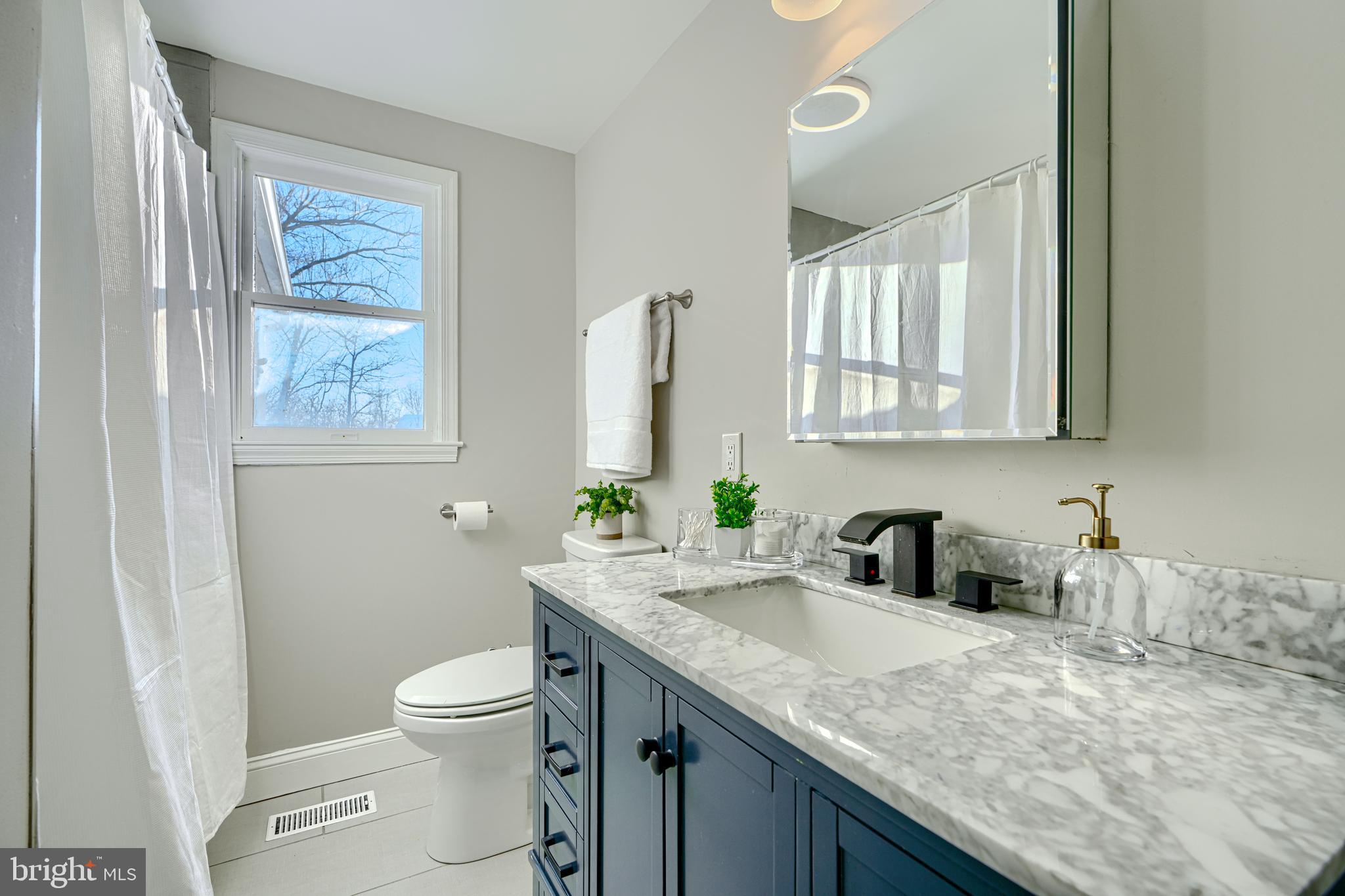 1203 Hilldale Road Baltimore, MD 21237 - Photo 22 of 55 a bathroom with a granite countertop sink a toilet and a window