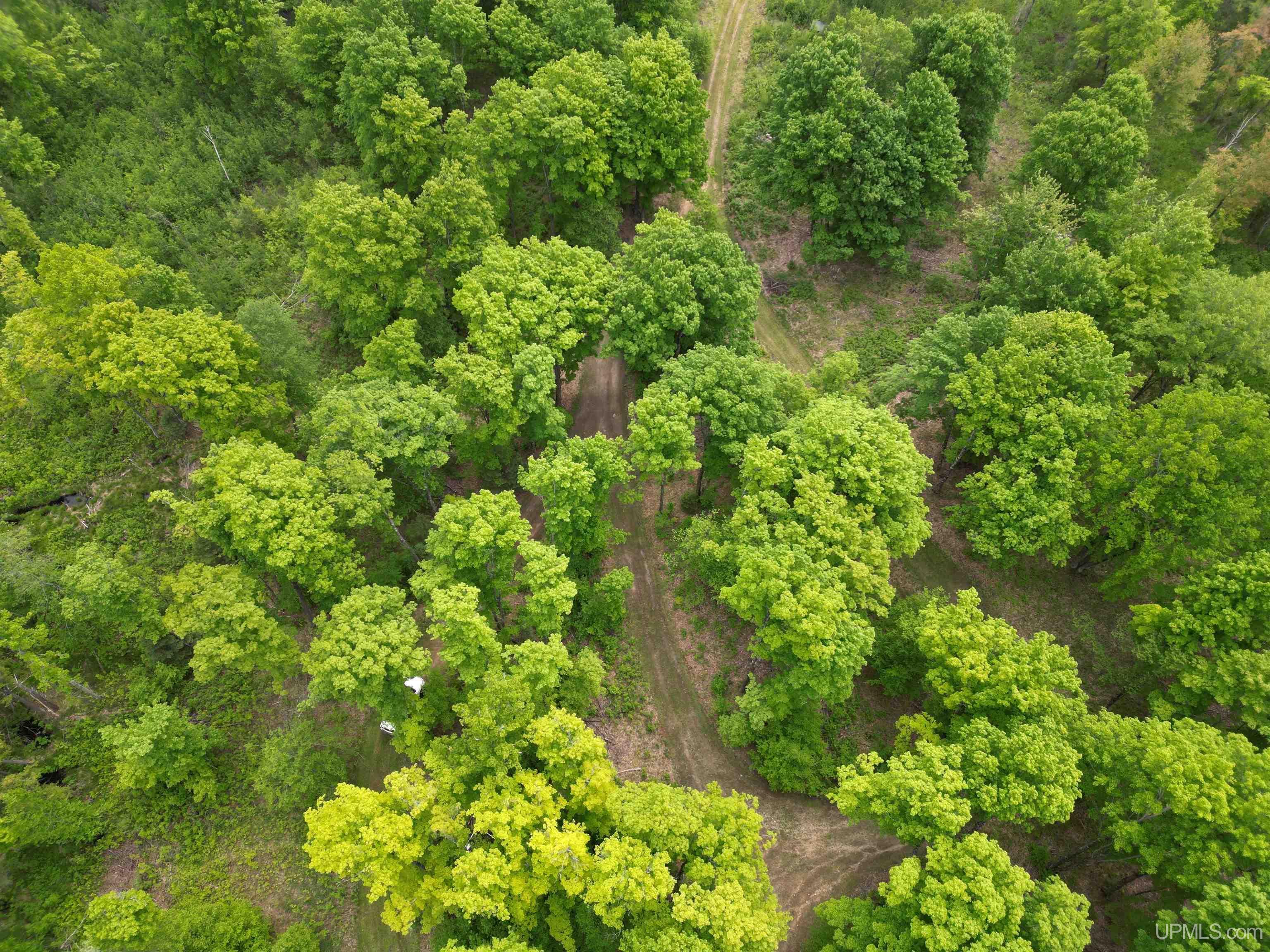 426 Rd Arnold Mi 49819 Road Felch, MI 49831 - Photo 35 of 45