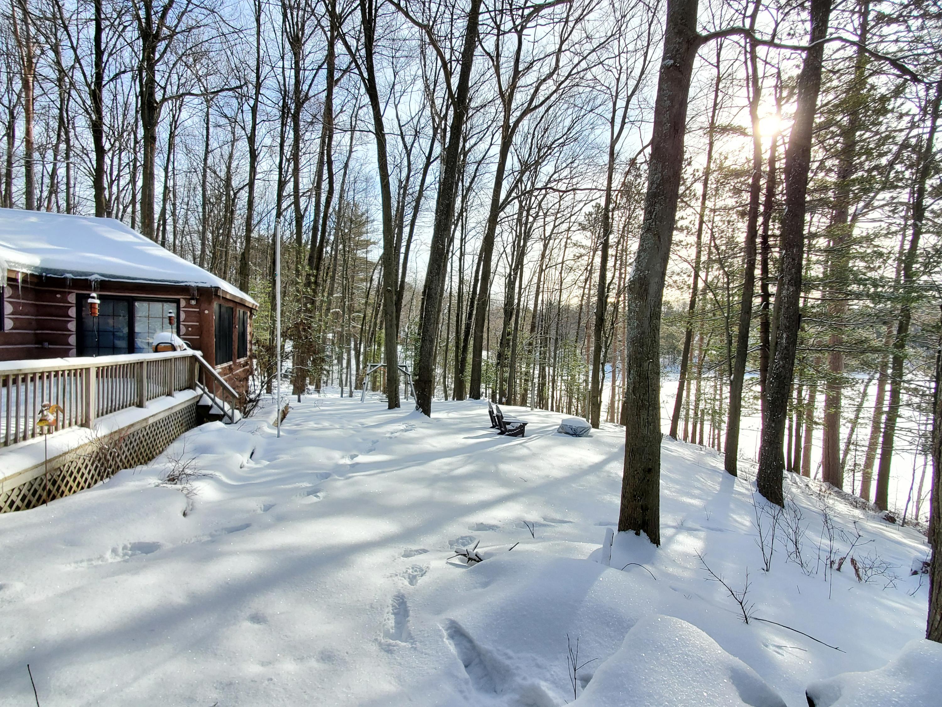 161 Loon Lake Loop Road Rose City, MI 48654 - Photo 46 of 69 Gallery Image 46