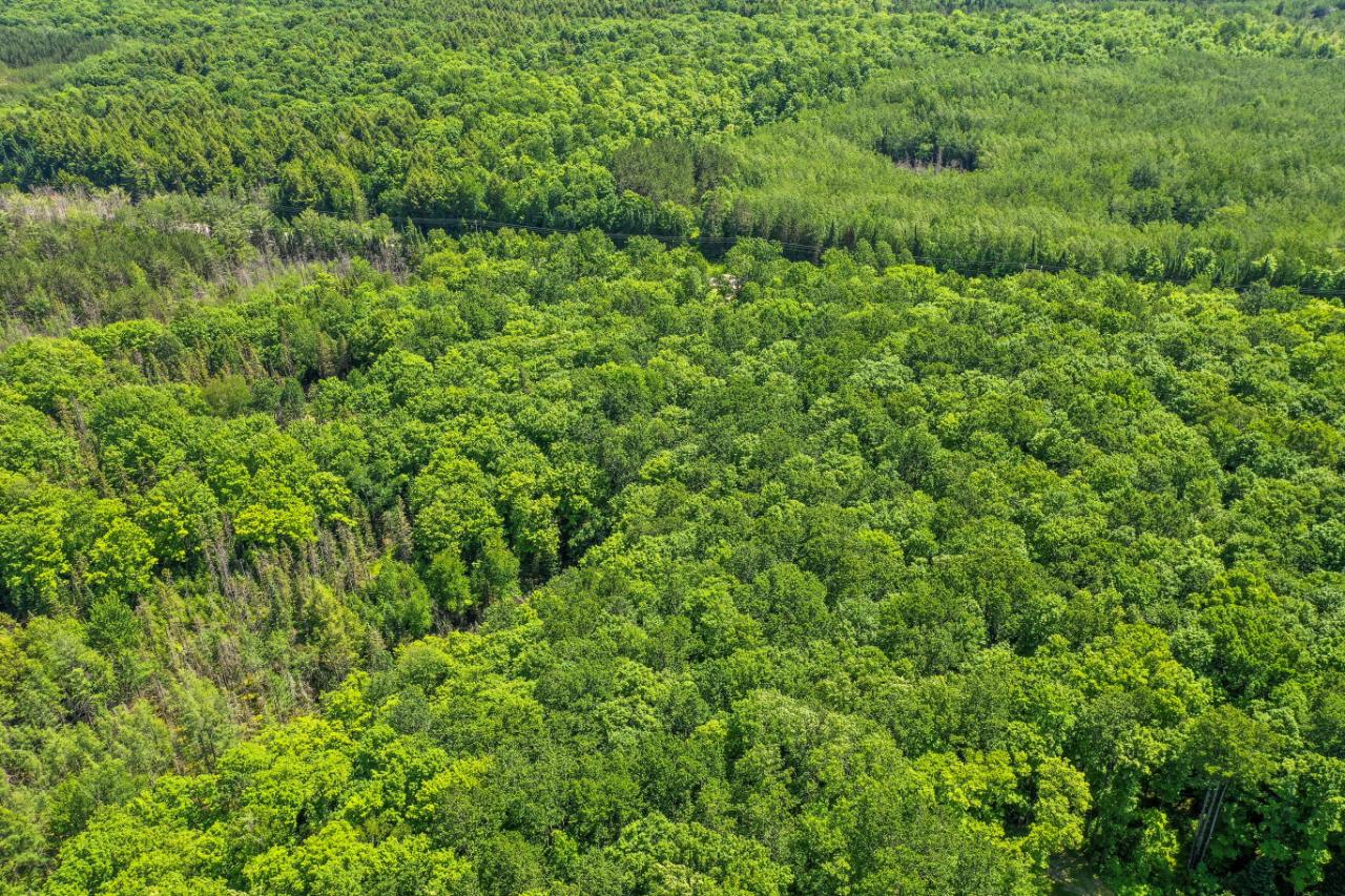 2888 Cth A Sugar Camp Rhinelander, WI 54501 - Photo 5 of 16 Gallery Image 5