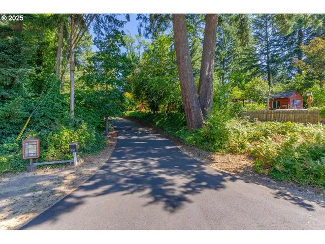 a view of a yard with plants and a bench