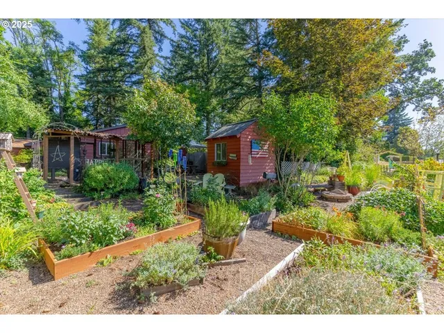 a backyard of a house with a garden and plants