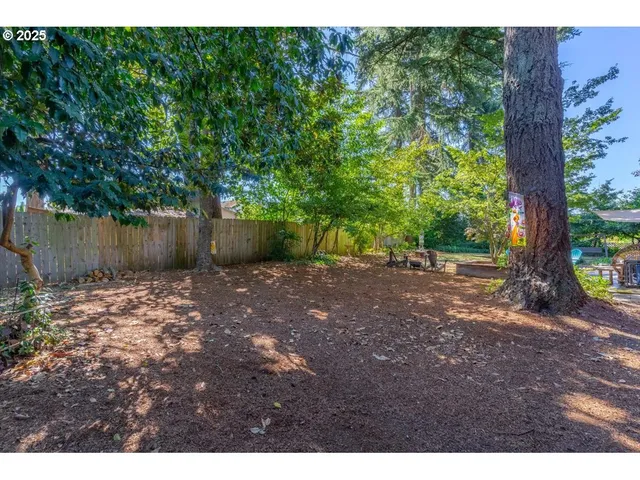a view of a backyard with large trees and plants