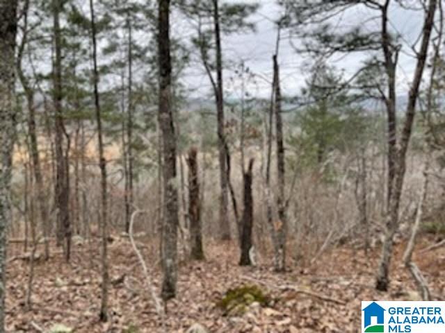 462 Conroy Circle, Unit 710 Sterrett, AL 35147 - Photo 1 of 9