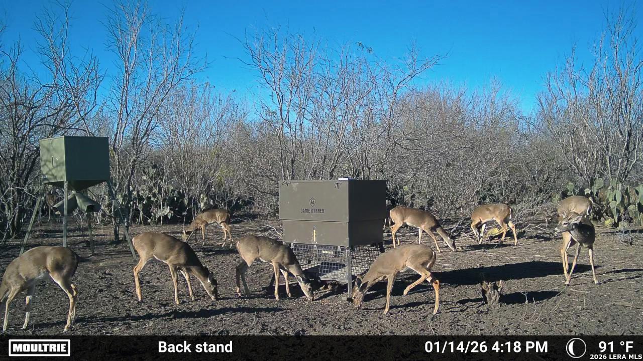 0 Cr 241 Three Rivers, TX 78071 - Photo 14 of 19
