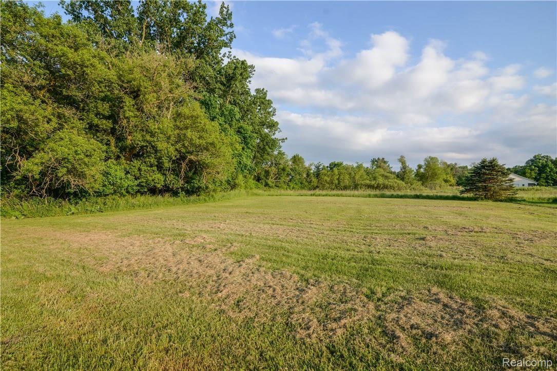 6225 Mason Road Howell, MI 48843 - Photo 55 of 59 _AUG4981.jpg