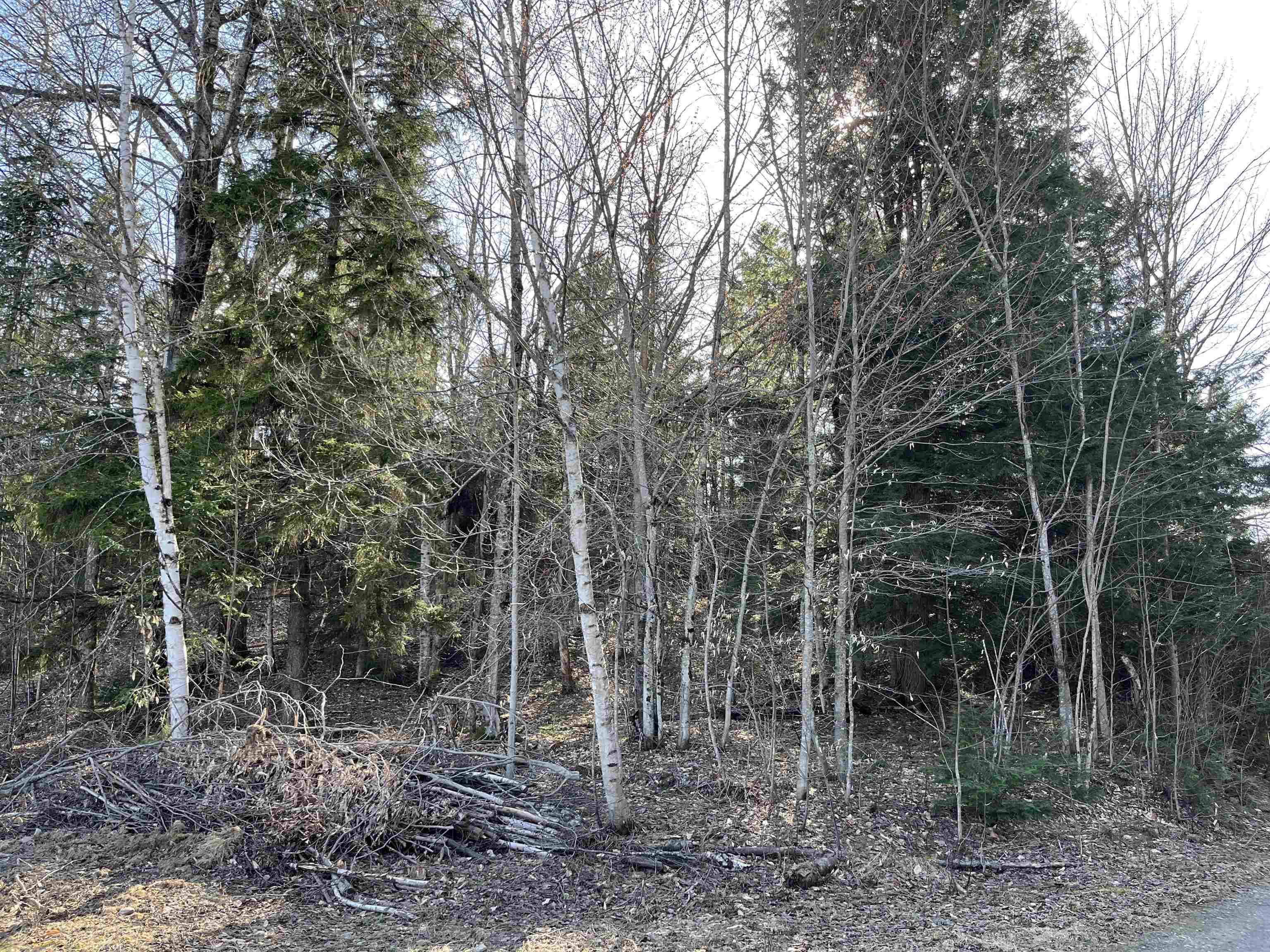 0 Sniderbrook Road Westfield, VT 05874 - Photo 5 of 9