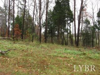 57 Sandy Court Gretna, VA 24557 - Photo 11 of 13