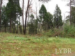 57 Sandy Court Gretna, VA 24557 - Photo 6 of 13
