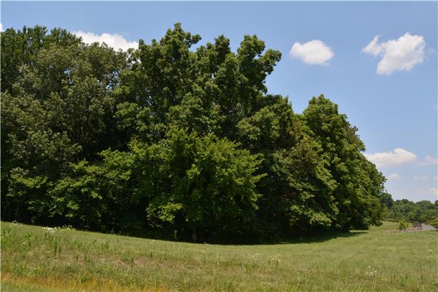 3965 Sadlersville Road Adams, TN 37010 - Photo 11 of 12 Gallery Image 11