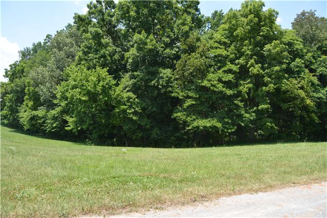 3965 Sadlersville Road Adams, TN 37010 - Photo 12 of 12 Gallery Image 12