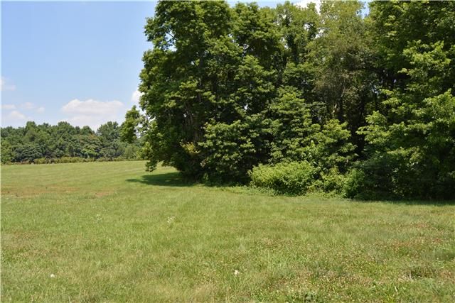 3965 Sadlersville Road Adams, TN 37010 - Photo 2 of 12 Gallery Image 2