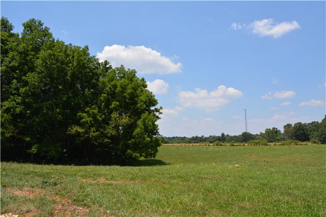 3965 Sadlersville Road Adams, TN 37010 - Photo 3 of 12 Gallery Image 3