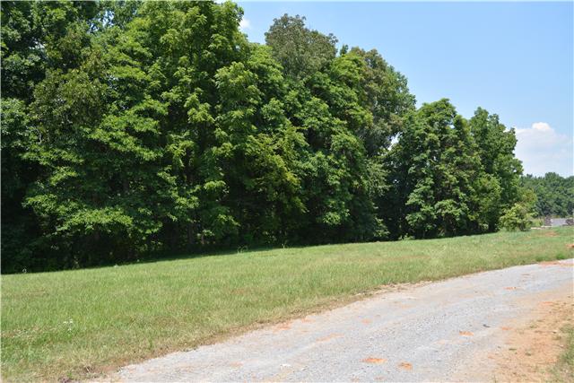 3965 Sadlersville Road Adams, TN 37010 - Photo 5 of 12 Gallery Image 5