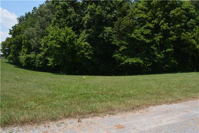 3965 Sadlersville Road Adams, TN 37010 - Photo 9 of 12 Gallery Image 9