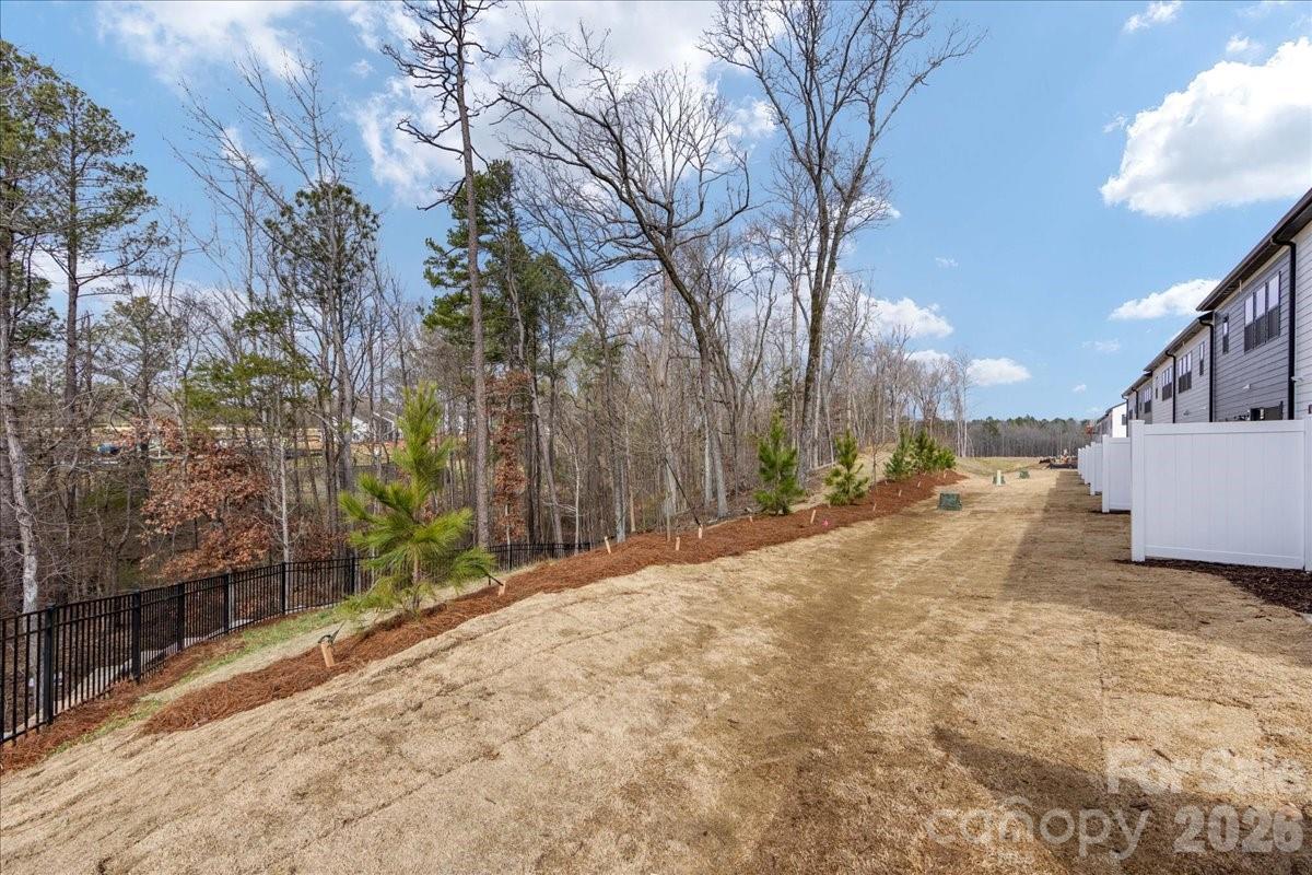 171 Landy Street Fort Mill, SC 29715 - Photo 28 of 30