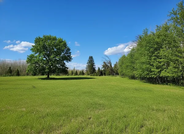 $175,000 | Tbd Wildflower Lane Northeast, Blackduck, MN 56630