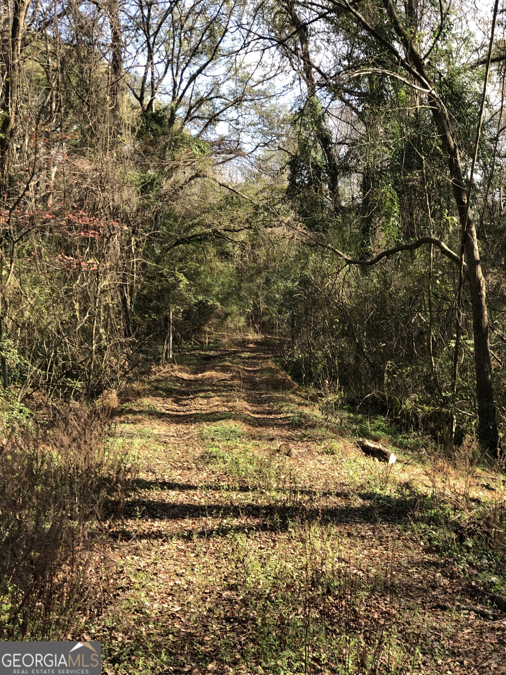 216 East Moores Crossing Road Thomaston, GA 30286 - Photo 2 of 6 a view of ocean view