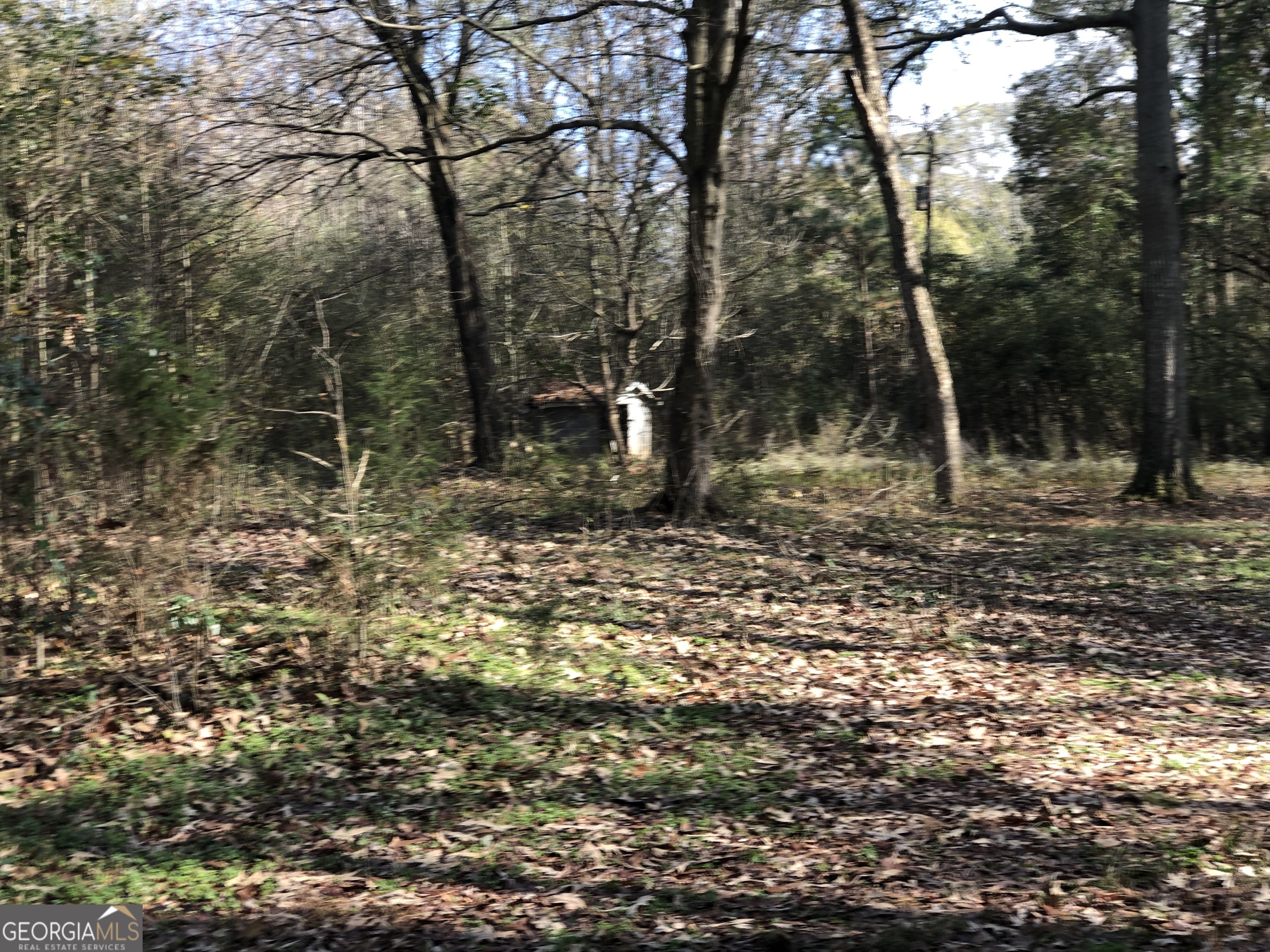 216 East Moores Crossing Road Thomaston, GA 30286 - Photo 5 of 6 a backyard of a house with lots of green space