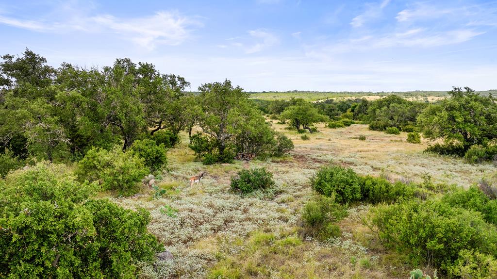 Lot 37 Vista Rdg Drive, Unit 3 Round Mountain, TX 78663 - Photo 11 of 31