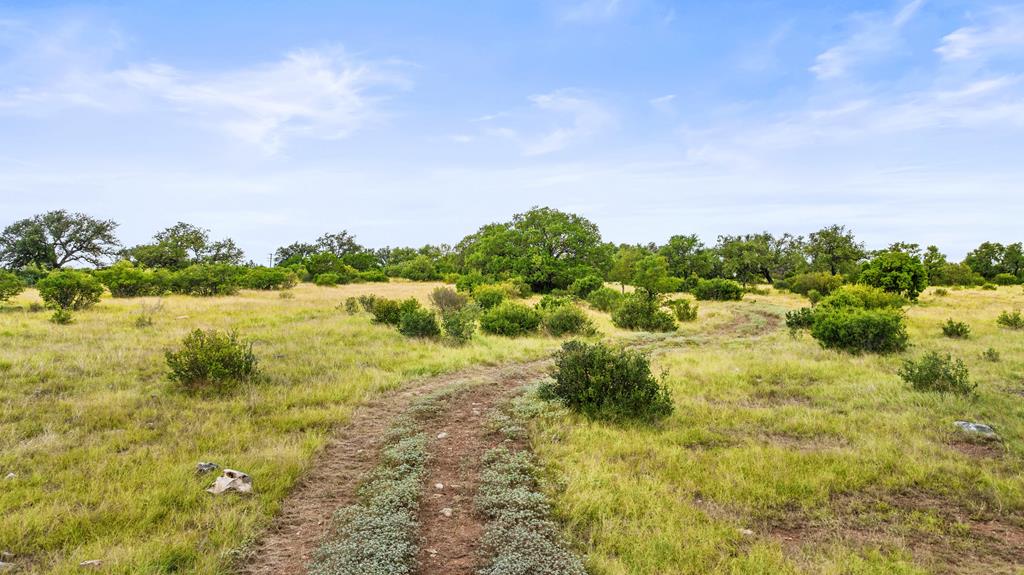 Lot 37 Vista Rdg Drive, Unit 3 Round Mountain, TX 78663 - Photo 15 of 31