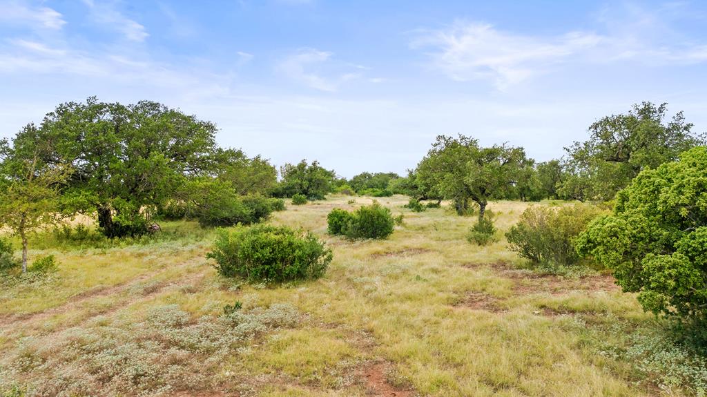Lot 37 Vista Rdg Drive, Unit 3 Round Mountain, TX 78663 - Photo 18 of 31