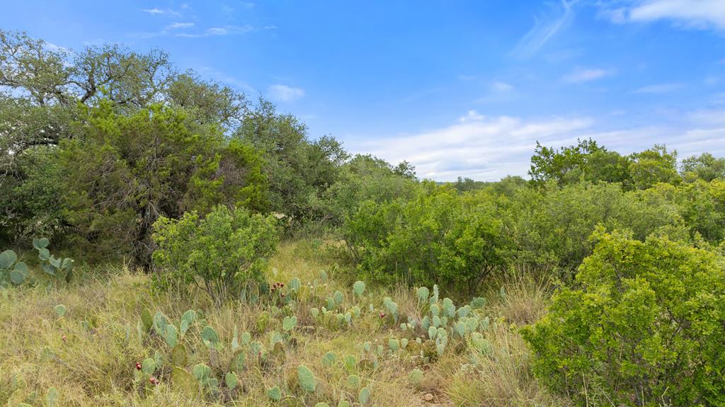Lot 37 Vista Rdg Drive, Unit 3 Round Mountain, TX 78663 - Photo 25 of 31